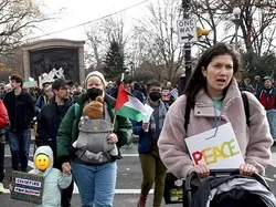 Rebecca hayes jacobs